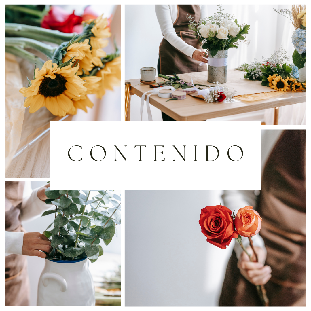 Contenido 1 – Solo Texto